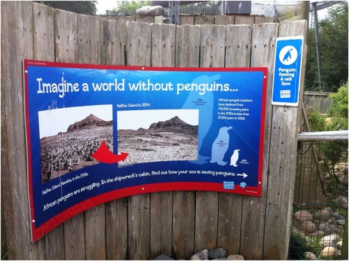 Figure 1. Information board in the Penguin Coasts exhibit, Bristol Zoo.