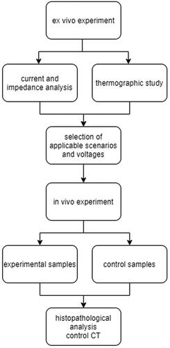 Figure 1. Flowchart demonstrating the design of the experiment.