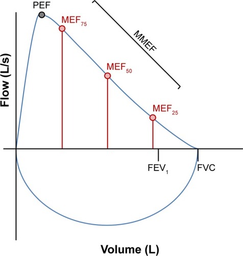 Figure 1 Graphical representation of a flow-volume loop indicating the traditional parameters (FEV1 and FVC) and the various flow parameters measured at intervals throughout the forced expiratory curve.