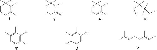 Figure 1. Structures of end rings present in carotenoids.