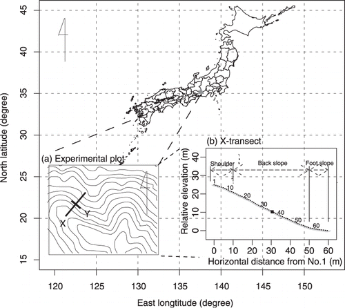 Figure 1  Location of the experimental site. Triangle indicates the location of the experimental site. (a) The geographical location of the X-transect and the Y-transect. X, the upper part (No. 1) of the X-transect. (b) The profile of longitudinal leveling of the X-transect. Circles indicate the sampling points and the solid square indicates soil core 35, at the intersect with the Y-transect. Numbers indicate the numbers of the soil cores.