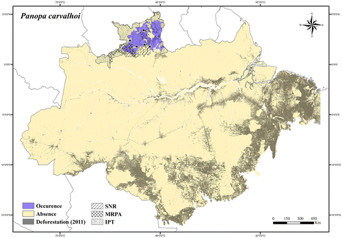Figure 76. Occurrence area and records of Panopa carvalhoi in the Brazilian Amazonia, showing the overlap with protected and deforested areas.