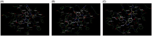 Figure 5. Docking of compounds the active site of 2JIV: (A) Docking of A1 to the active site of 2JIV. (B) Docking of A2 to the active site of 2JIV. (C) Docking of Neratinib to the active site of EGFR.