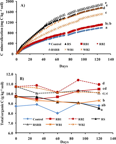 Figure 2. Temporal trends of A) carbon mineralization and B) total soil organic C following rice straw (RS), rice straw biochar (RB1 and RB2), RS and RB mixture (RSRB) and wood biochar (WB1 and WB2) addition to a paddy soil. Treatments labeled with different letters differ significantly (p < 0.05) by Duncan’s Multiple Range test.