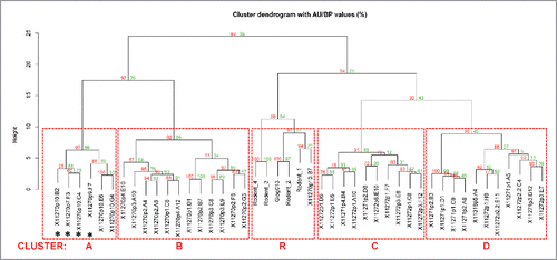 Figure 6. Dendrogram of BLI epitope clustering data. The dendrogram representing clustering of the secondary antibodies was generated in pvclust (see Materials and Methods). The axis on the left (Height) serves as a measure for antibody dissimilarity. Using a height cut-off of 10, 5 antibody clusters (A, B, C, D, R - red dashed boxes emerge). The AU value (%) represents the approximate unbiased p-value computed by pvclust using multiscale bootstrap resampling, whereas the BP value (%) indicates the bootstrap probability. Clusters with high AU values are strongly supported by the data. * denominates non-antagonistic antibodies.