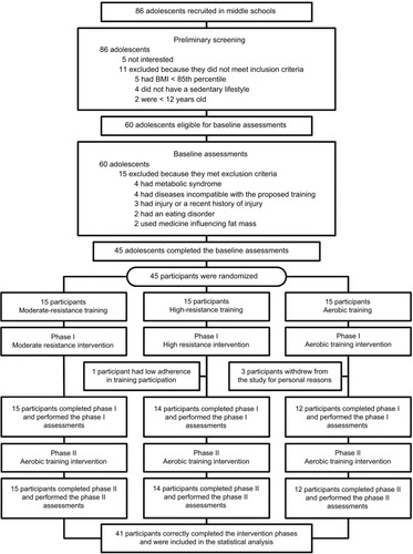 Figure 2 Flowchart of the intervention program.