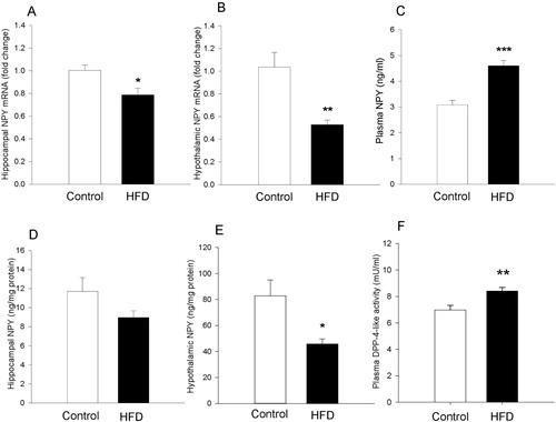 Figure 5 Molecular readouts in brain and plasma of mice fed a control or high-fat diet (HFD) for 8 weeks. (A) Relative expression of neuropeptide Y (NPY) mRNA in hippocampus (n=6 per group). (B) Relative expression of NPY mRNA (n=6 per group) in hypothalamus. (C) Plasma concentration of NPY in control (n=7) and HFD group (n=8). (D) Hippocampal concentration of NPY (n=6 per group). (E) Hypothalamic concentration of NPY (n=6 per group). (F) Dipeptidyl peptidase-4 (DPP-4)-like activity in blood plasma (n=12 per group). The measurements in panels A–E were taken after 8 weeks of dietary intervention without behavioural testing (experiment 4) while those in panel F were taken after 8 weeks of dietary intervention followed by behavioural testing (experiment 1). Means+standard error of the mean; *P<0.05, **P<0.01, ***P<0.001 (t-test).