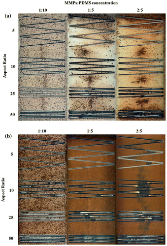 Figure 7. Clear-view MMPs-PDMS casting of (a) 100-μm-thick and (b) 200-μm-thick zigzag microchannels with composite concentrations of 1:10, 1:5, and 2:5 at aspect ratios of 5, 10, 25, and 50.