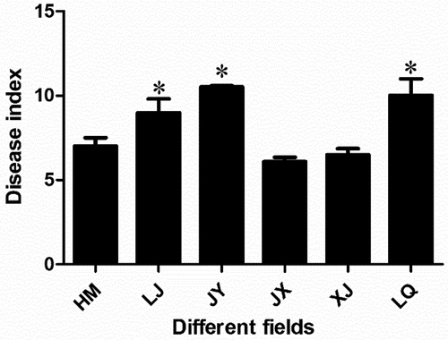 Figure 1. Disease index of Cotton Verticillium wilt in different fields. * indicated that there was significant difference between different groups at the level of P < .05. The bar chart showed the mean ± standard deviation.