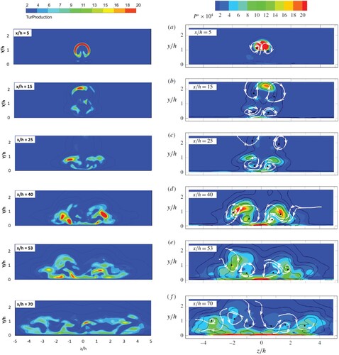 Figure 16. Contours of the turbulence production in y-z planes (Left; present ELES; Right: experiment (Ye et al., Citation2016a)).