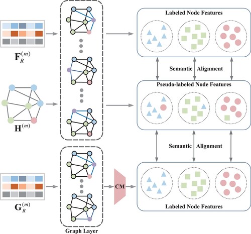 Figure 1. Describes the mth layer process of MSAGCN. The three inputs of the convolution layer are H(m), GR(m), and FR(m). The three outputs are a pseudo-labelled node feature and two labelled node features. CM in the figure indicates Conversion Module, i.e. GR(m) needs to be transformed after passing through the convolution layer.