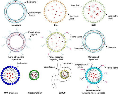 Figure 4 The drug delivery systems of elemene.Abbreviations: NLC, nanostructured lipid carrier; O/W, oil-in-water; SEDDS, self-emulsion drug delivery system; SLN, solid lipid nanoparticle.