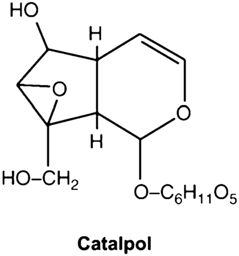 Figure 1.  The structure of catalpol.