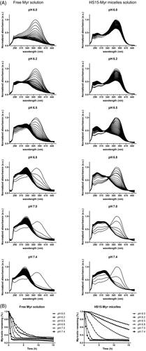 Figure 2. Time-dependent UV-visible absorption spectra of Myr. (A) Time-dependent UV-visible absorption spectra of 0.25 mg/ml free Myr or HS15-Myr micelles with different pH levels of PBS; (B) The decays of the absorbance at 375 nm due to the degradation of free Myr or HS15-Myr micelles with different pH levels of PBS.