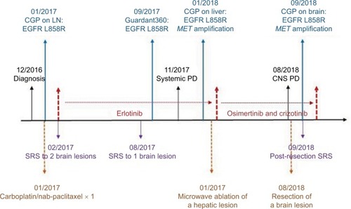 Figure 3 Schematic summary of treatment course.