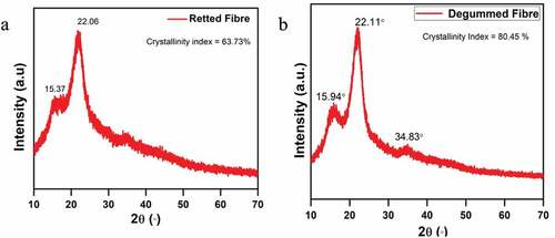 Figure 6. XRD pattern of (a) retted and (b) degummed water hyacinth fiber after 5 days of retting.