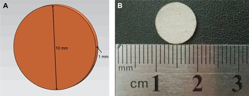 Figure 1 (A) Design sketch of specimens; (B) SLM titanium specimen.Abbreviation: SLM, selective laser melting.