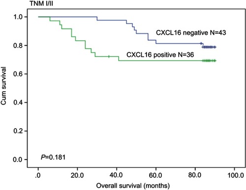 Figure 3 The 5-year overall survival rates were not significantly different between CXCL16-positive and CXCL16-negative patients with stage I/II CRC (P=0.181).