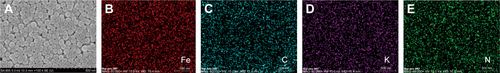 Figure S1 Typical SEM imaging and the corresponding elemental mappings of OPBs.Note: Typical SEM imaging (A) and the corresponding elemental mappings of OPBs (iron (B), carbon (C), potassium (D), nitrogen (E), respectively). Abbreviations: OPBs, optimized Prussian blue nanoparticles; SEM, scanning electron microscope.