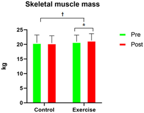 Figure 2 Changes in modified skeletal muscle mass at 12 weeks between control and exercise groups. *Significant difference between pre-intervention and post-intervention (P<.05); †Significant difference between time-by-group (P<.05).