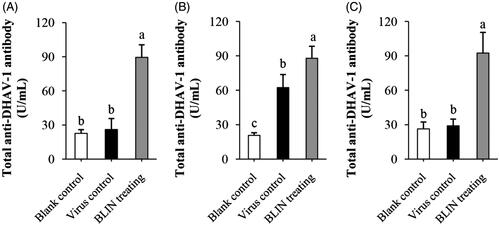 Figure 6. Influence of BLIN on total anti-DHAV-1 antibody secretion. After injecting DHAV-1 for (A) 4, (B) 8 or (C) 54 h, the blood of ducklings in the blank control, virus control and BLIN treatment groups (five samples per group) was collected. The serum was separated and total anti-DHAV-1 antibody levels were determined by an ELISA kit. Statistical analyses were performed using Duncan’s multiple range tests. a–cBars in the figure without the same superscripts differ significantly (p < 0.05).