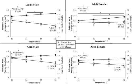 Figure 4. Average cross-sectional area (left y-axis) and maximum circumferential cyclic strain (right y-axis) of the infrarenal aorta for male and female, adult and aged mice (n = 20, 5 per group) at core temperatures of 35, 36, 37 and 38 °C. Linear regression lines shown for area and strain. As the average area of the vessel increases, the cyclic strain decreases. Significance set at p < 0.05; for temperature effect overall (†), pairwise comparisons between temperatures within a group (#) and non-zero slope (*).