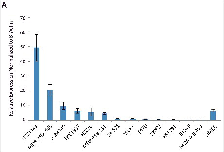 Figure 5. Quantitative PCR analysis of ERRLR01 expression across a panel of breast cancer cell lines. Analysis indicates a few TNBC cell lines express high levels of ERRLR01, as compared with normal HMEC lines, as well as ERα+ cell lines.