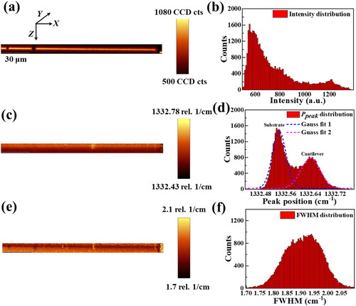 Figure 6. Raman mapping in the X-Z plane of an area 170×10 μm2 in depth after the etching treatment for 50 hrs. (a) Image of the Raman laser intensity. (b) Histogram of the Raman laser intensity. (c) Distribution image of Ppeak of Raman spectra. (d) Histogram distribution of Raman Ppeak. (e) Distribution image of FWHM of Raman spectra. (f) Histogram distribution of FWHM.