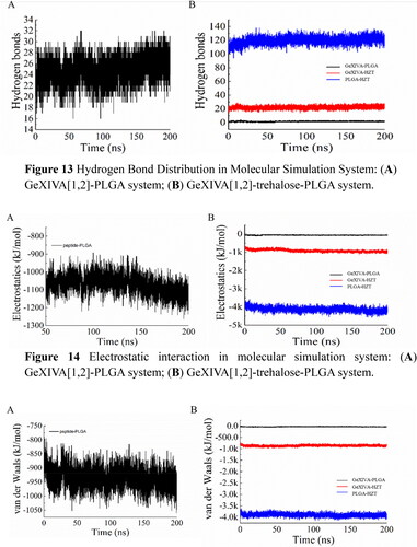 Figure 13. Hydrogen Bond Distribution in Molecular Simulation System: (A) GeXIVA[1,2]-PLGA system; (B) GeXIVA[1,2]-trehalose-PLGA system.