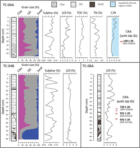 Figure 7. Analyses run on cores TC-04A (top), TC-04B and TC-06A(bottom). Summary stratigraphic log is shown with depth scale to the left, with grain size presented for TC-04A and B. Loss-on-ignition (LOI) was run for all cores, while Sulphur was only run for TC-04A and B. Total organic carbon (TOC), total nitrogen (TN), and carbon/nitrogen ratio (TOC/TN) for core TC-04A are also presented. Blue shaded area of TOC/TN indicates ratios between 4 and 10, indicative of aquatically-sourced sedimentary organic matter. Red marker to right of diagrams shows the stratigraphic range and position of radiocarbon samples. Radiocarbon dates are shown as conventional radiocarbon age (CRA) with the associated lab identifier, and their calibrated range can be found in Table 1 as cal. yr BP at 2σ from the SHCal20 curve (Hogg et al. Citation2020) as produced in Calib8.2.