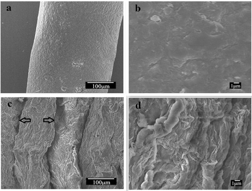 Figure 2. SEM images of cellulose fibres (a, b) and CGO fibres (c, d).