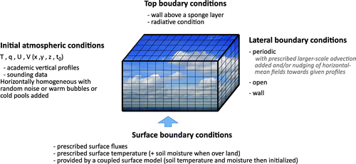 Fig. 8. Schematic of common choices of initial and boundary conditions in LES and CRMs.