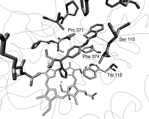 Figure 4 Interactions between (S)-R115866 and the CYP26A1 active site.