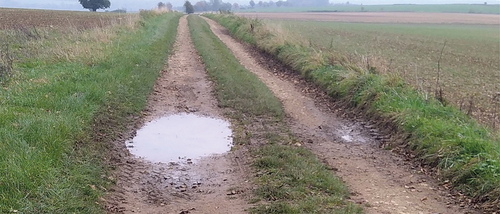 Figure 7. Obstacles: mud, puddles, grass central ridge and grass outer ridges.