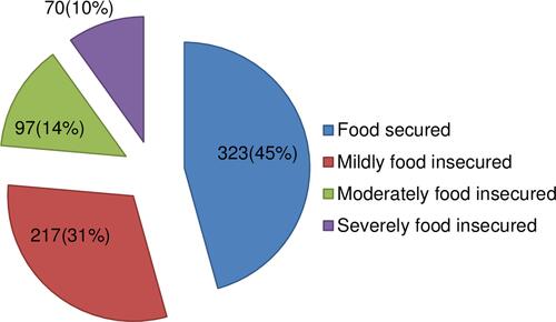 Figure 2 Different degrees of food insecurity among pregnant women in Arba Minch Zuria woreda, Gamo Gofa Zone, SNNPR, March 2015.