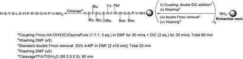 Figure 10. SPPS of Afamelanotide, a standard 4-step protocol of double DIC addition (3 eq. for 30 min + 3 eq. for 30 min = 1 h), followed by double Fmoc removal 20% 4-MP [2 x10 min].