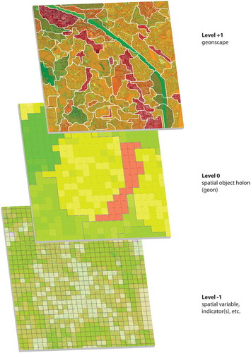 Figure 1. Hierarchical organization of geons. A three-level hierarchy of input layers, geons, and geonscape.