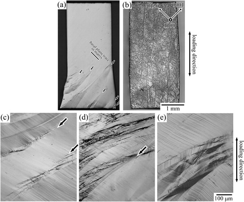 Figure 2. (a) Appearance of the specimen after the second deformation at RT. (b) The appearance of 45°-deformed specimen without predeformation (first deformation in the 45° orientation, reported in [Citation24]). (c–e) Higher magnification images showing the deformation traces introduced in the specimen by the second compression test at (c) RT, (d) 200°C, and (e) 300°C. The observed directions are all parallel to [1¯100].