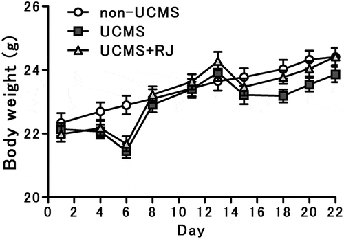 Figure 1. Changes in body weight during exposure to unpredictable chronic mild stress (UCMS).Data represent the means ± standard error of the mean (SEM) (non-UCMS: n = 20, UCMS: n = 20, UCMS+RJ: n = 20). A significant decrease in body weight was found between UCMS-exposed and non-UCMS-exposed groups at the start of UCMS exposure on day 6.