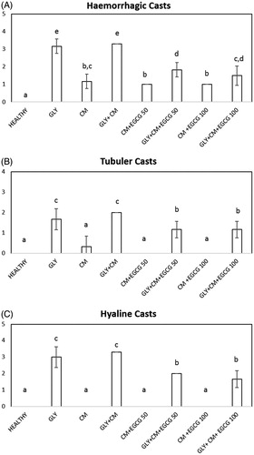 Figure 5. Effects of EGCG on histopathological hemorrhagic cast (A) tubular casts (B) and hyaline cast (C) scores in rats’ kidneys. Means in the same column by the same letter are not significantly different from the test of Duncan (p = .05). Results are expressed as means ± SD (n = 6).