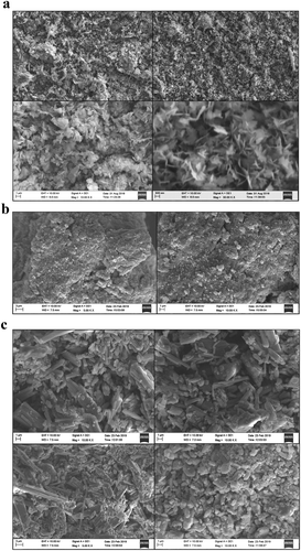 Figure 2. (a) SEM images of bare CuO nanoparticles with different magnification. (b) SEM images of EDTA functionalized CuO nanoparticles. (c) SEM images of EDTA-silane functionalized CuO nanoparticles.