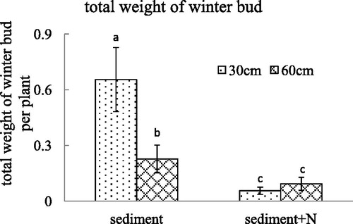 Figure 8. The total weight of winter buds (mean ± SE) per V. spinulosa growing on different sediments at two water depths. Different small letters above columns indicate significant differences between treatments.