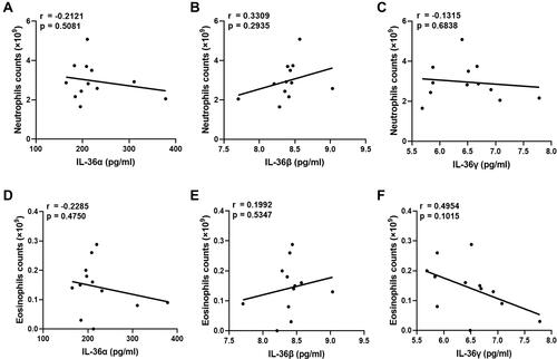 Figure 4 For control subjects, the IL-36 levels were not related to the number of inflammatory cells. (A–C) Correlation analysis of IL-36 and neutrophils in the control group. (D–F) Correlation analysis of IL-36 and eosinophils in the control group.