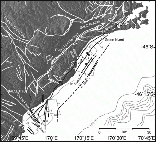Figure 5  Offshore faults observed (solid lines) and inferred (dashed lines) along the South Otago margin (after Johnstone Citation1990). Seismic lines used in the fault interpretation are indicated by thin annotated lines; only lines 1, 2, 5 and 4 are shown in Figure 4 Onshore fault positions are indicated by white lines (after Bishop & Turnbull Citation1996). Onshore region is indicated by shaded topographical relief. Shelf margin bathymetry is indicated by grey contours.