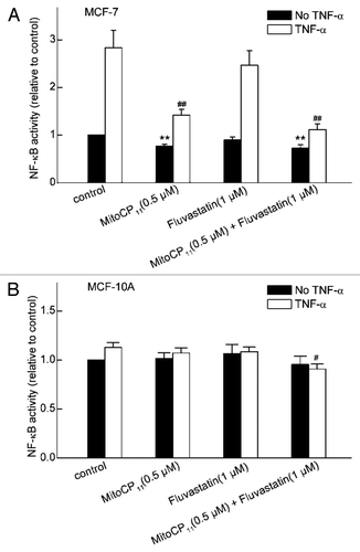 Figure 6 The effect of Mito-CP11 and fluvastatin on NFκB levels in MCF-7 and MCF-10A cells. The activity of NFκB in MCF-7 (A) and MCF-10A (B) cells was measured after incubating the cells for 48 h in the absence or presence of Mito-CP11 (0.5 µM) or fluvastatin (1 µM), followed by incubation in the absence or presence of TNFα (100 ng/ml, 3 h). NFκB activity was normalized to values in control cells that were incubated in the absence of Mito-CP11, fluvastatin and TNFα. Results are the mean ± SEM from three independent experiments conducted with triplicate samples. **p < 0.001 vs. control without TNFα; #p < 0.01, ##p < 0.001 vs. control with TNFα.