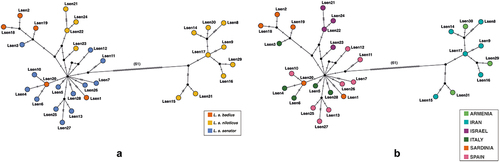 Figure 2. Haplotype median-joining networks of the concatenated mtDNA dataset. (a) shows haplotypes network based on putative subspecies designations (see inset), while (b) is based on sampling locality (see inset).