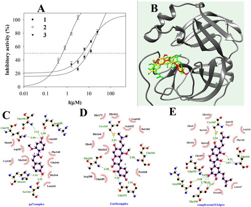 Figure 2. The inhibitory activity of compounds on SARS-CoV-2 3CLpro (A). The best pose (B) and docking results (C–E) between inhibitors (1: red, 2: yellow, 3: green) and 3CLpro (ID: 7END).