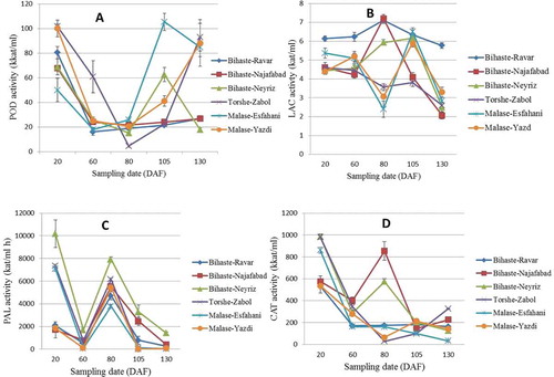 Figure 1. Change in activity of POD (A), LAC (B), PAL (C), and CAT (D) enzymes in various hard- and soft-seeded genotypes during different sampling date. (Data are mean of three replications ± SE.). DAF: Day after fruit set.