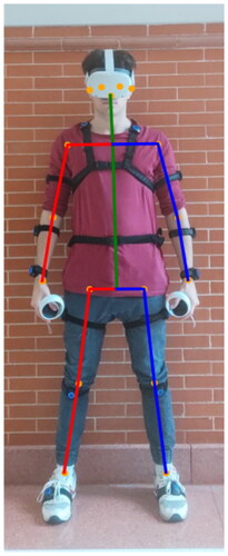 Figure 8. Keypoints in the image - DWPose.