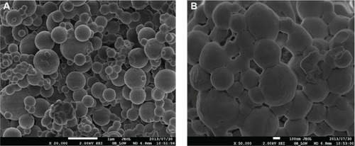 Figure 3 Scanning electron microscopy images of drug-loaded solid lipid nanoparticles at ×20,000 (A) and ×50,000 (B) magnification.